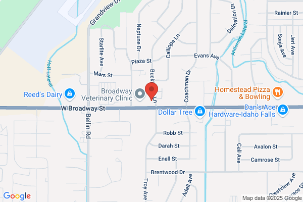 Western Transmission Service