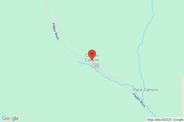 Culbert, Richard B MD