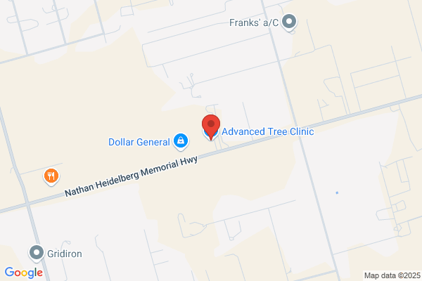 Advanced Tree Clinic