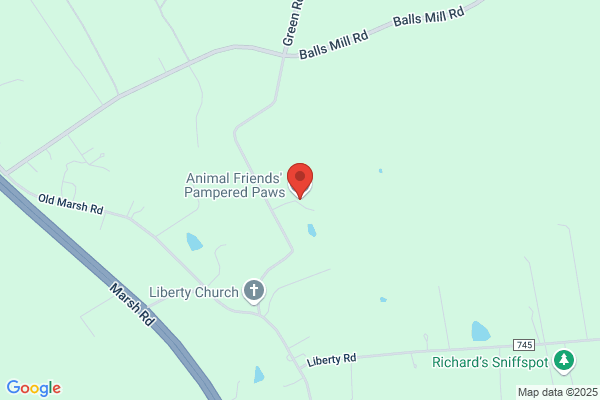 Liberty Hill Pet Resort