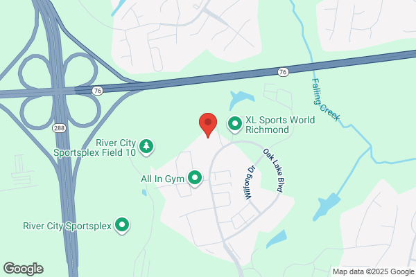 Virginia International Gymnastics Schools
