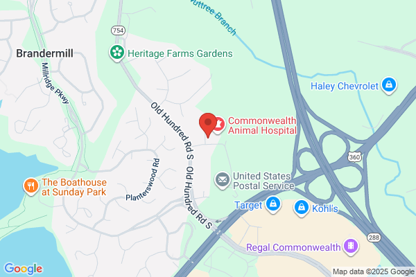 Amedisys Home Health Care