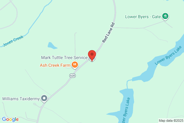 Mark Tuttle Tree Service