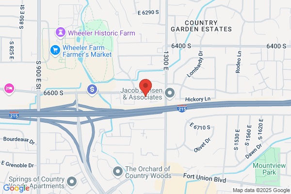 Mountain States Networking