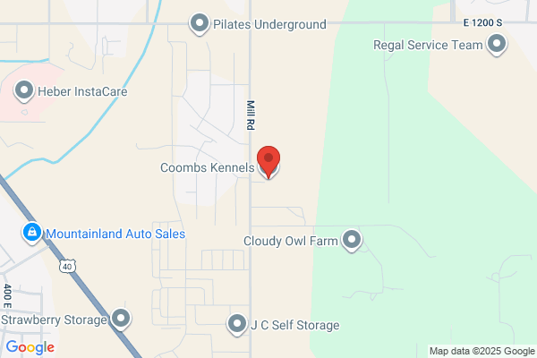 Country Kennels