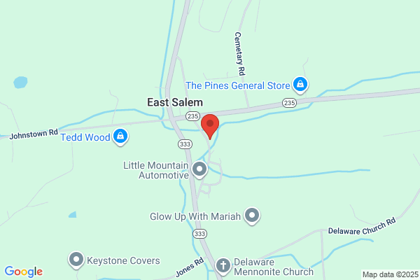 Delaware Township Fire Co