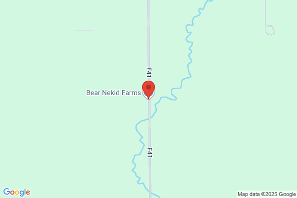Bear Necessities