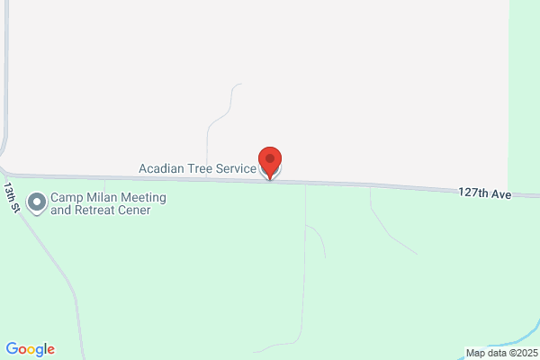 Acadian Tree Service