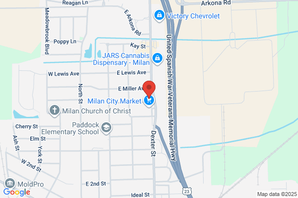 Milan Physical Therapy