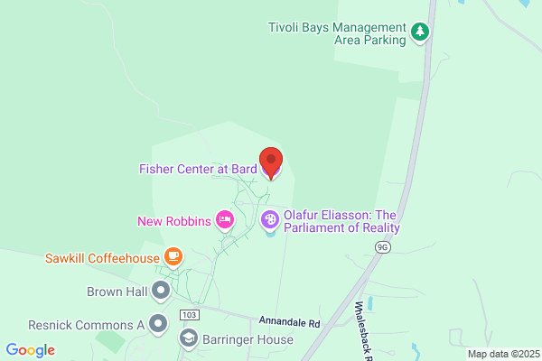 Bard College For Performing Arts
