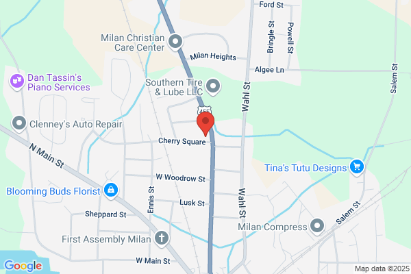 NAPA Auto Parts - Motor Parts and Bearings of Milan