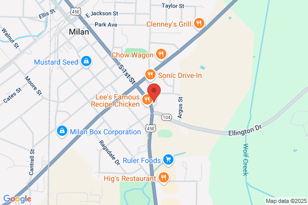 TitleMax Title Loans