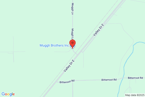 Muggli Brothers