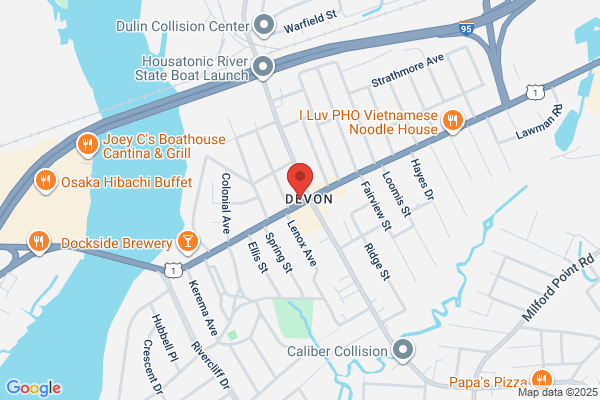 Canine Connection Dog Training Llc