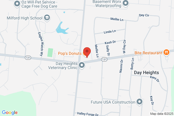 Milford Dog Grooming