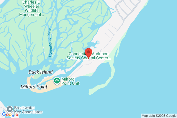Wild Bird Center