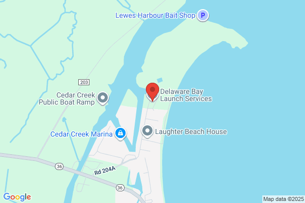 Delaware Bay Launch Service