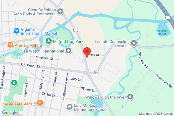 Herring Chiropractic Clinics