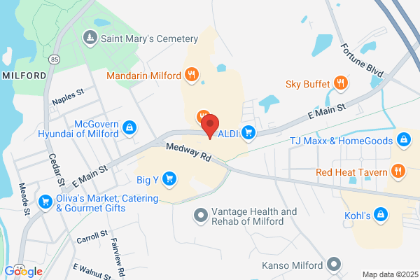 Metrowest Veterinary Associates Inc