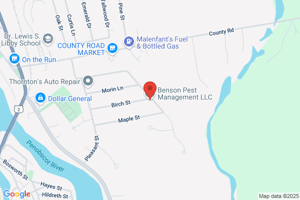 Benson Pest Management