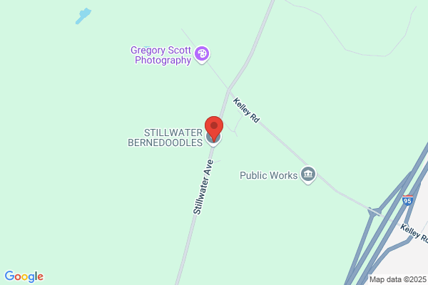 Tropical Oasis