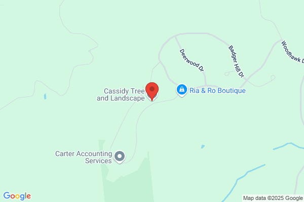 Fitzpatrick Tree Service & Land Clearing