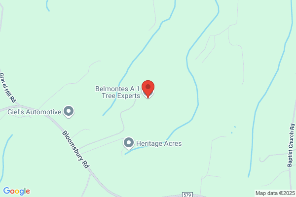 Belmontes A-1 Tree Experts LLC