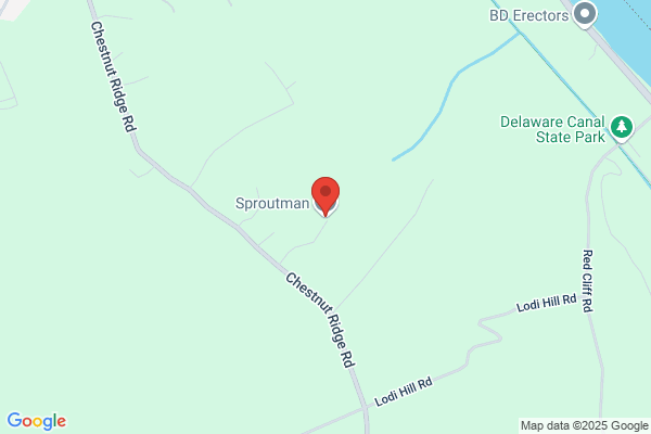 Sproutman the
