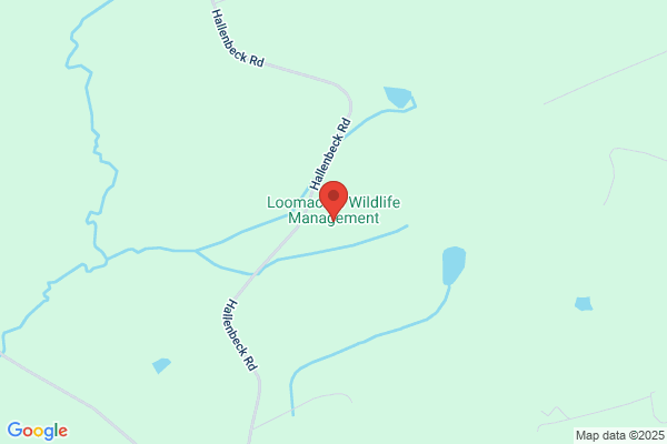 Wildlife Learning Co
