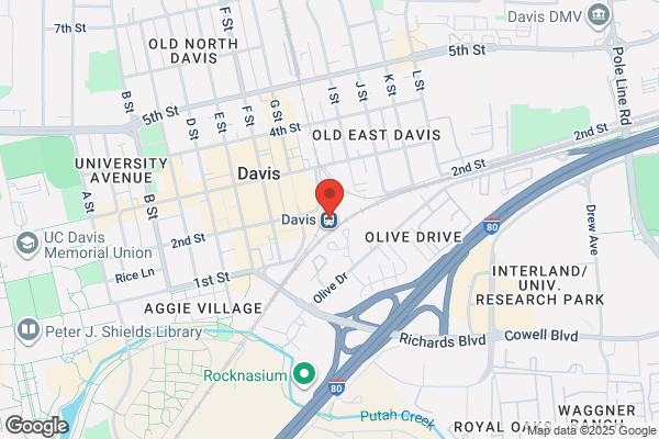 Davis Trains