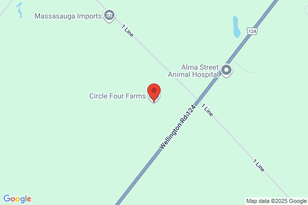 Circle Four Farms, Feedmill