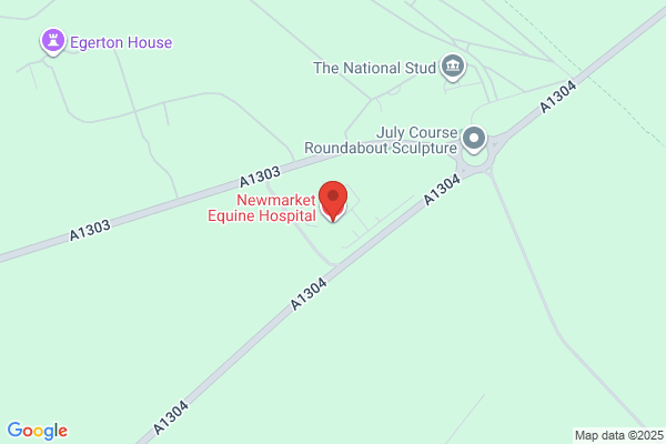 Newmarket Equine Clinic