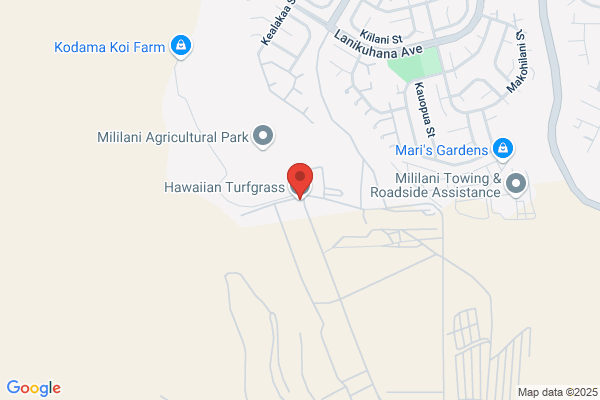 Hawaiian Turfgrass