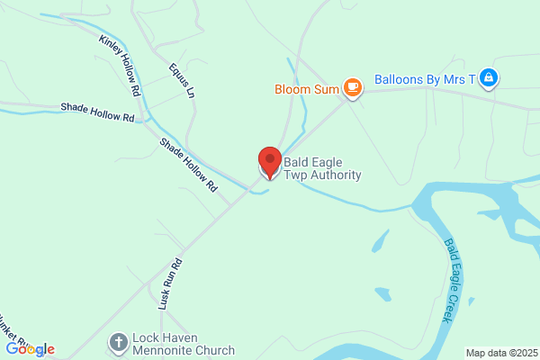 Bald Eagle Township, Authority