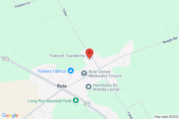 Flatrock Taxidermy