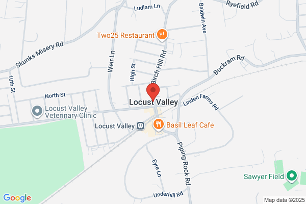Bikram Yoga Locust Valley