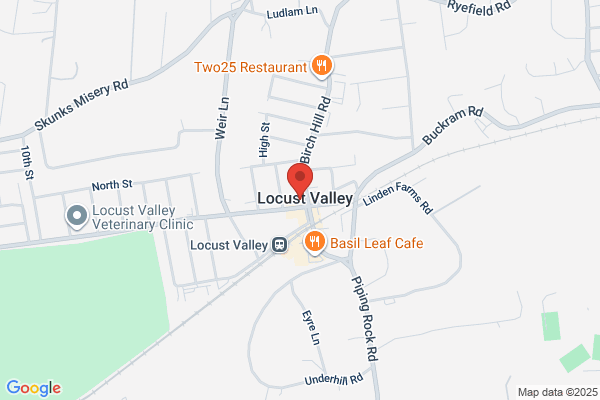 Locust Valley Locksmith Services