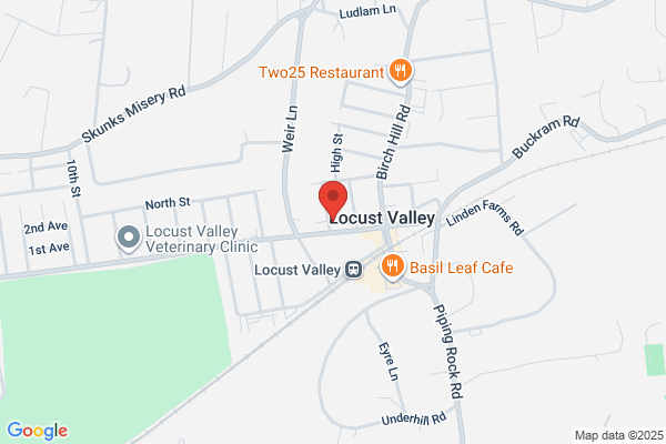 London Pools of Locust Valley