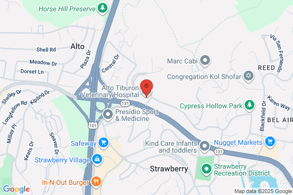 Alto Tiburon Veterinary Hospital