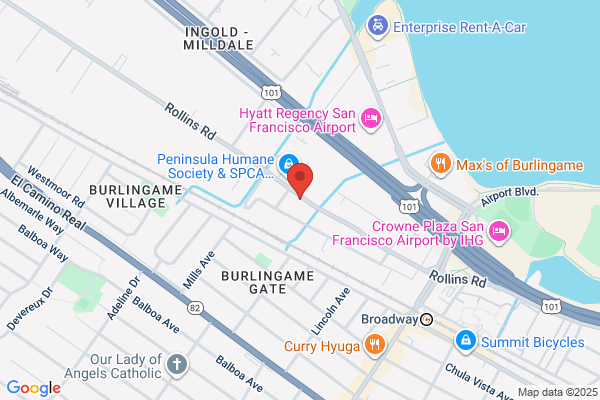 Bayside Travel Services