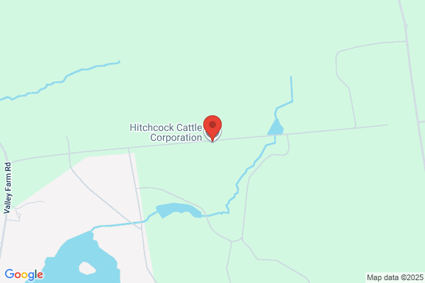 Hitchcock Cattle Corporation