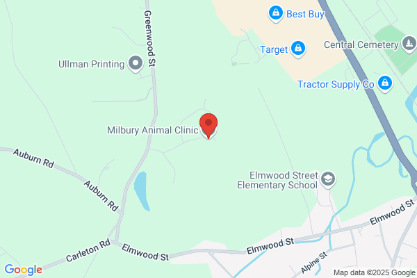 Millbury Animal Clinic