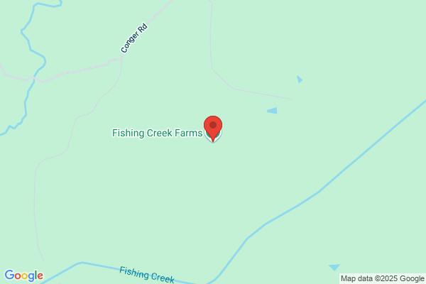 Fishing Creek Outfitters