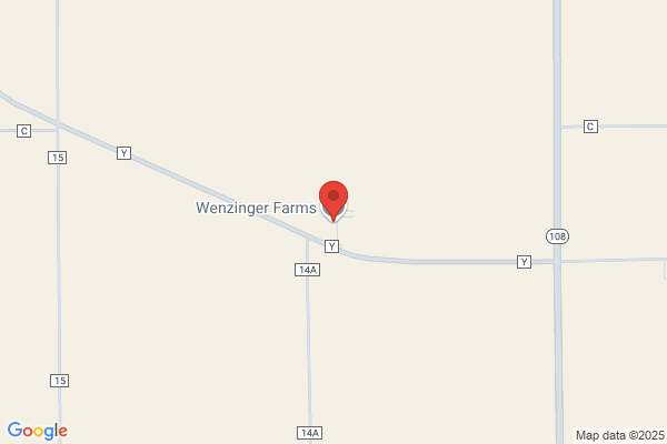 Wenzinger Processing