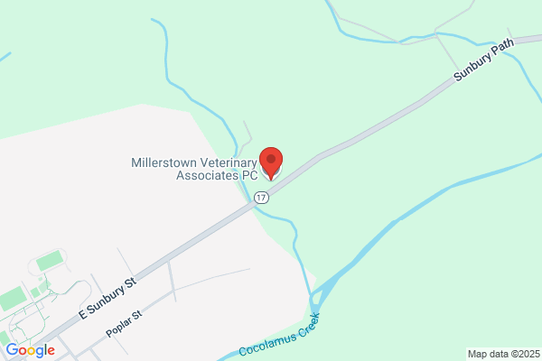 Millerstown Veterinary Associates PC