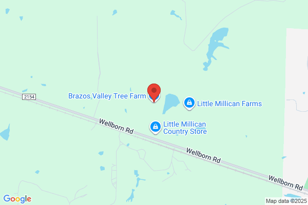 Brazos Valley Tree Farm
