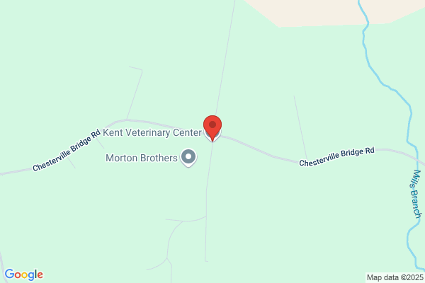Centreville Equine
