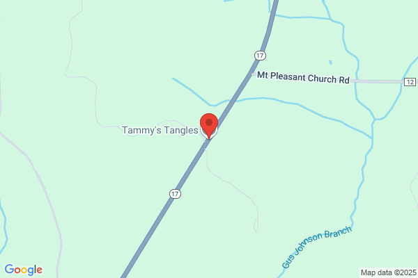 Tammys Tangles