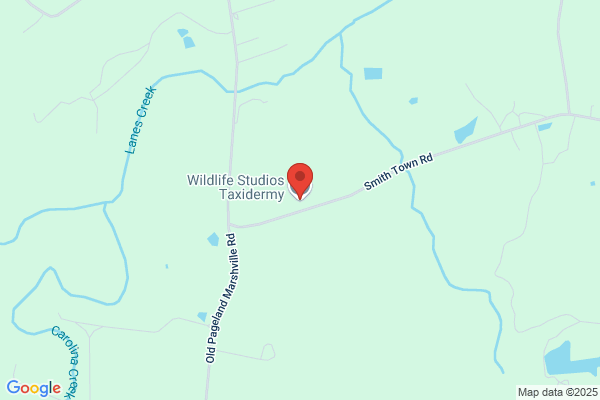 Dee's Taxidermy & Wildlife Studio
