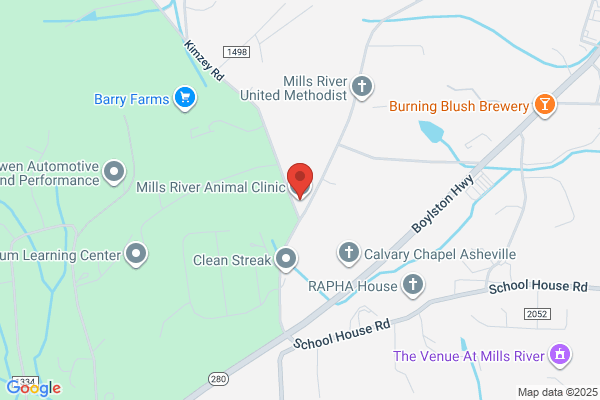 Mills River Animal Clinic